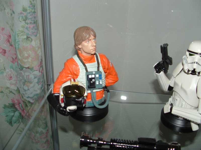 Luke Skywalker: X-Wing Pilot - A New Hope - Limited Edition